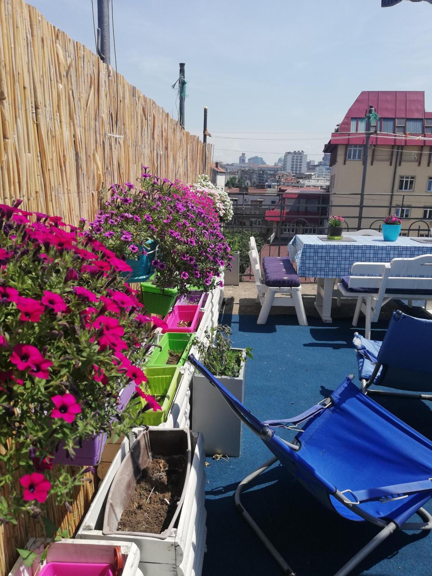 Hostel Inn Downtown Belgrade Luaran gambar